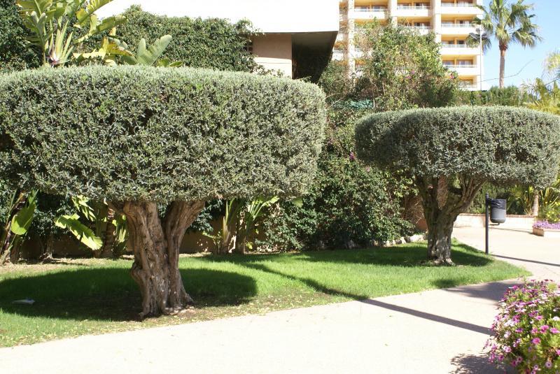 Paraiso 10 Apartamento Benidorm
